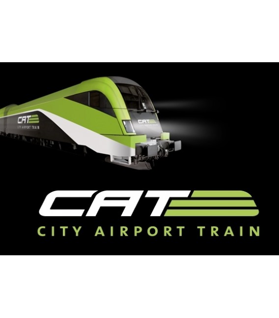 City Airport Train Cat