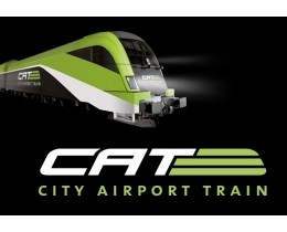 City Airport Train Cat