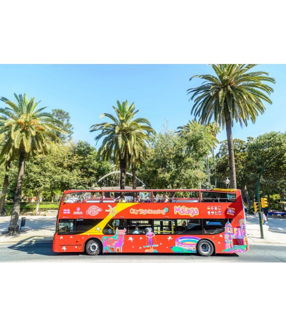 Malaga City Sightseeing + Music Museum