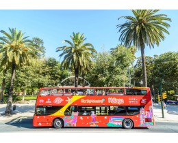 Malaga City Sightseeing + interactive Music Museum