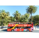 Malaga City Sightseeing + Music Museum