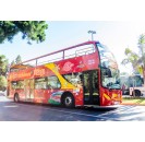 Malaga City Sightseeing + Museo della Musica