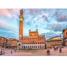 Siena Guided Walking Tour