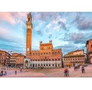 Siena Guided Walking Tour