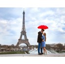 Tour Eiffel 2nd floor admission - priority access + tour & cruise