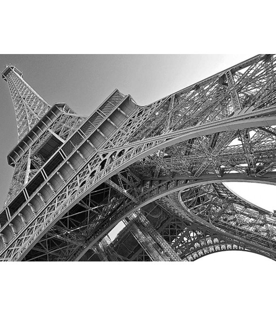 Tour Eiffel salita alla sommità - Ingresso prioritario