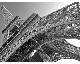 Tour Eiffel salita alla sommità - Ingresso prioritario