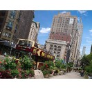 New York Big Bus Tours