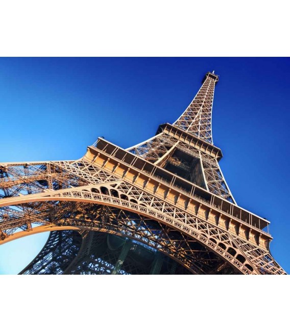 Tour Eiffel - salita 2° piano ingresso prioritario + battello