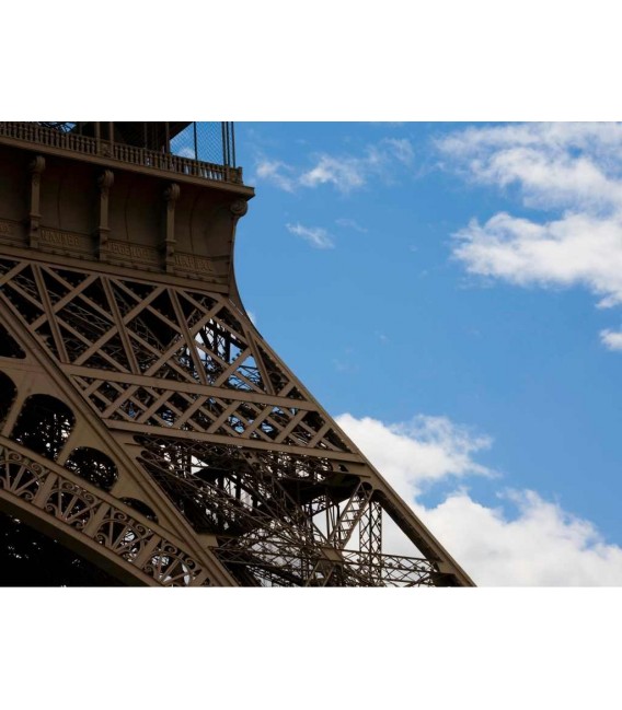 Eiffel Tower Ticket with reserved Access and Mobile App