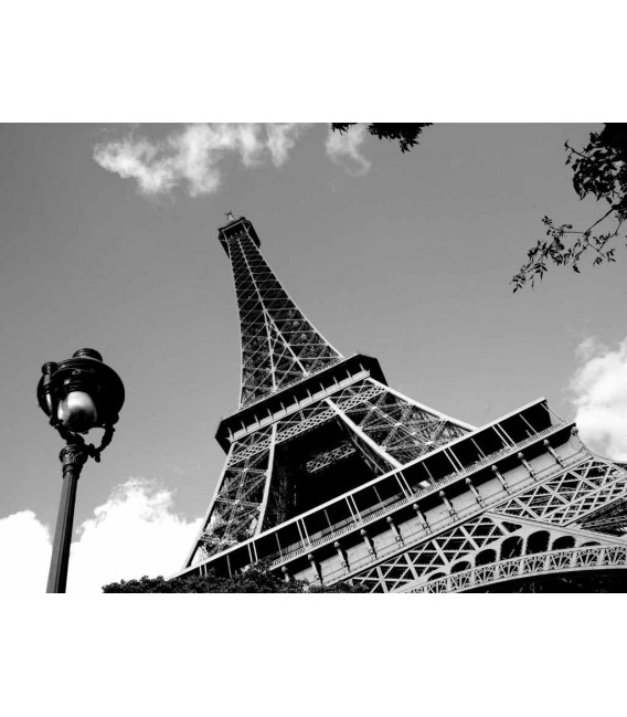 Tour Eiffel - salita alla sommità ingresso prioritario + battello