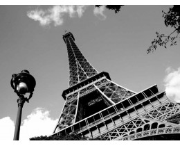 Eiffel Tower ascent top + Interactive audioguide