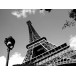 Tour Eiffel salita sommità ingresso prioritario + crociera