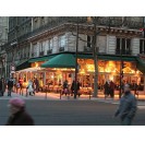 Paris Big Bus Panoramic Night Tour