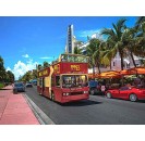 Miami Big Bus City Tours