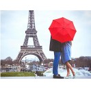 Tour Eiffel salita alla sommità con assistenza + Audioguida + Crociera