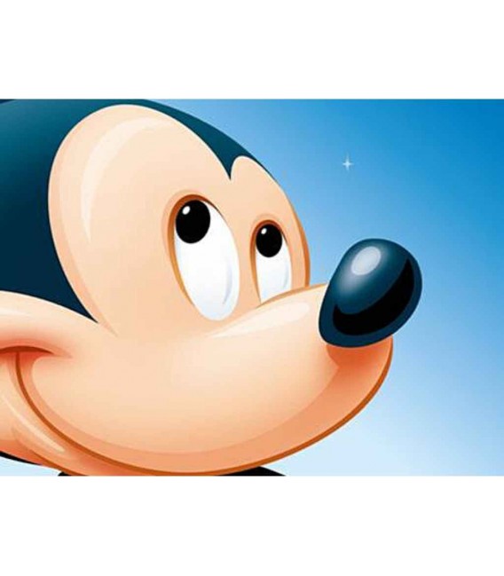 Disneyland Paris Biglietti 1 giorno