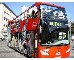 Madrid City Sightseeing