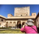 Alhambra e Generalife e treno turistico opzionale