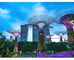 Flower Dome & Supertree Observatory