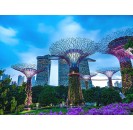 Flower Dome & Supertree Observatory