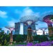 Flower Dome & Supertree Observatory