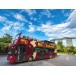 Singapore Big Bus City Sightseeing