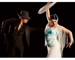 Flamenco Night in Siviglia