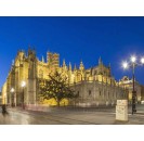 Flamenco Night in Siviglia