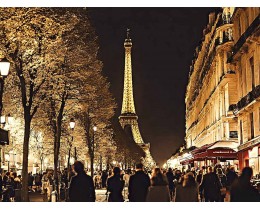 Illumination Tour of Paris