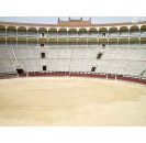 Las Ventas Tour y Museo Taurino de Madrid