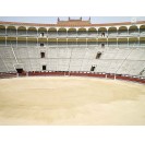 Tour di Las Ventas Arena e Museo della Corrida
