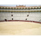 Tour di Las Ventas Arena e Museo della Corrida