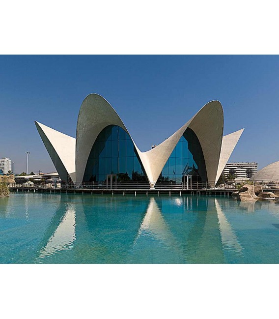 Oceanogràfic + Valencia Science Museum Tickets