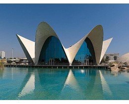 Oceanogràfic + Valencia Science Museum Tickets