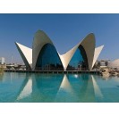 Oceanogràfic + Valencia Science Museum Tickets