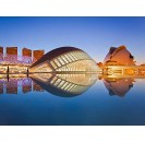 Oceanogràfic + Valencia Science Museum Tickets