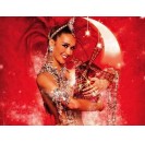 Moulin Rouge Show 1/2 bottiglia di champagne ore 21.00