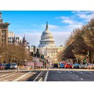 Washington private tour with Italian speaking guide