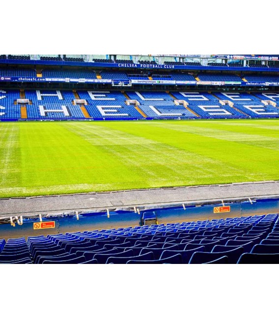 Chelsea Stadium and Tour