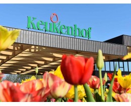 Keukenhof, Zaanse Schans