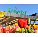 Bus tour Keukenhof, Zaanse Schans & Amsterdam Canal Cruise