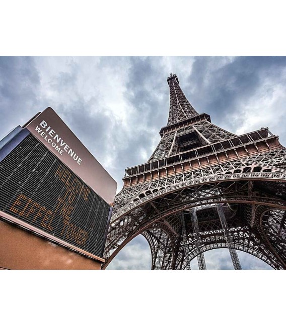 Eiffel Tower Ticket with reserved Access and Mobile App