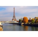 Eiffel Tower Ticket with reserved Access and Mobile App