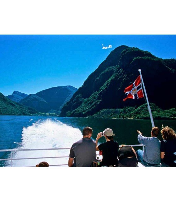 Sognefjord in a Nutshell