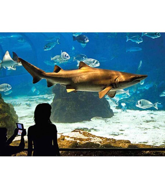 Barcelona Aquarium