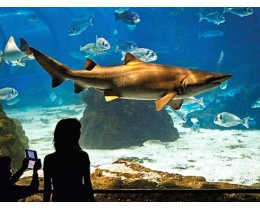 Aquarium de Barcelona