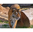 Zoo de Barcelona
