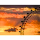 London Eye standard entry