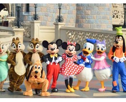 Disneyland Paris 1-day tickets for special dates